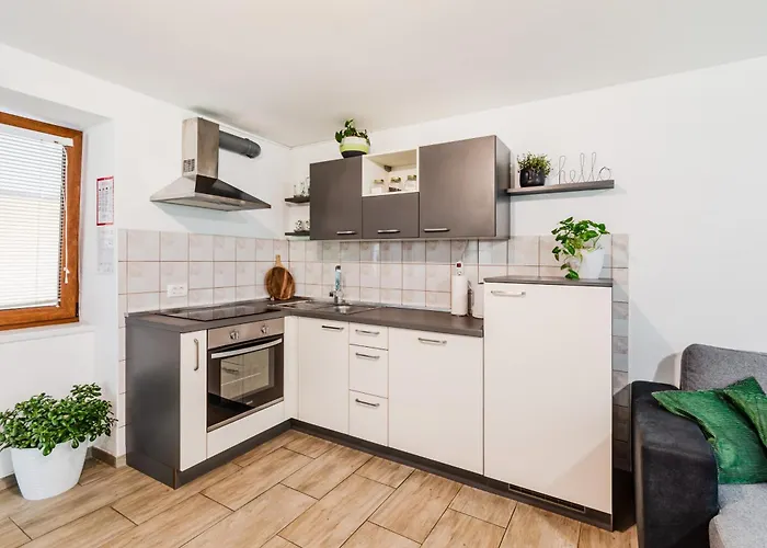 Apartmaji Mouse Bovec